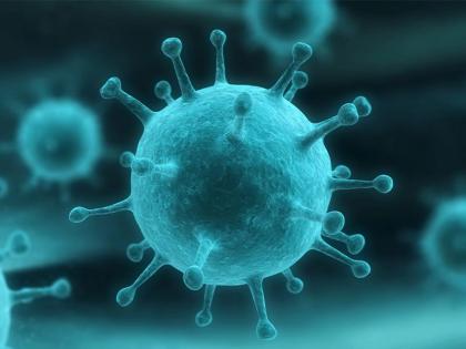 2 species of Nipah virus found in Mahabaleshwar bats, read report | कोरोना के बाद महाराष्ट्र में नई आफत, चमगादड़ों में मिला निपाह वायरस, नहीं है इसका कोई इलाज