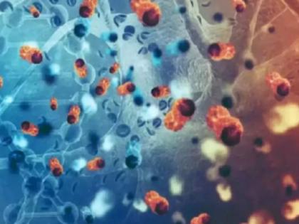 Norovirus cases confirmed in kerala Wayanad, health minister issues guidelines | कोरोना के बाद नोरो वायरस का फैला संक्रमण, केरल में 13 छात्र चपेट में आए, जानिए इस बारे में Norovirus cases confirmed in kerala Wayanad, health minister issues guidelines | कोरोना के बाद नोरो वायरस का फैला संक्रमण, केरल में 13 छात्र चपेट में आए, जानिए इस बारे में