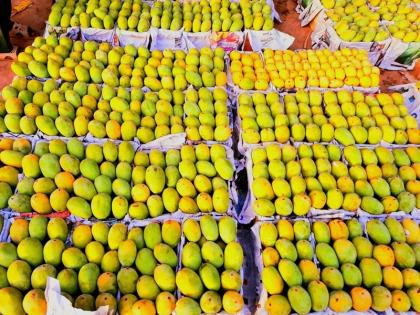 Now Banarasi Langda Mango Paan also got place in GI Tag Kashi Adamchini Rice Ramnagar Bhanta are also included in list | GI Tag: जीआई टैग में अब बनारसी लंगड़ा आम और पान को भी मिली जगह, काशी के आदमचीनी चावल और रामनगर का भंटा भी लिस्ट में शामिल