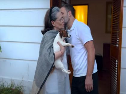 Entry of a new member in Rahul Gandhi's family, brought 'Noori' from Goa for mother Sonia Gandhi, watch video | राहुल गांधी के परिवार में नई सदस्य की एंट्री, गोवा से मां सोनिया गांधी के लिए लाये 'नूरी', देखिये वीडियो Entry of a new member in Rahul Gandhi's family, brought 'Noori' from Goa for mother Sonia Gandhi, watch video | राहुल गांधी के परिवार में नई सदस्य की एंट्री, गोवा से मां सोनिया गांधी के लिए लाये 'नूरी', देखिये वीडियो