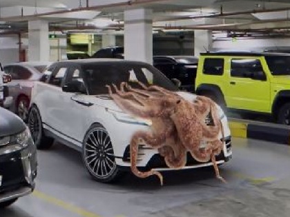 Viral Video octopus seen in films suddenly arrived in the parking lot know what happened next | Viral Video: फिल्मों में नजर आने वाला ऑक्टोपस, अचानक से पार्किंग में पहुंचा, जानिए आगे क्या हुआ