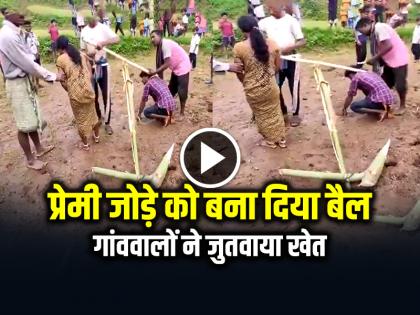 Odisha Villagers Punished like Bullocks and made them plough the field | VIRAL: प्रेमी जोड़े को बना दिया बैल, गांववालों ने जुतवाया खेत, देखें वायरल वीडियो