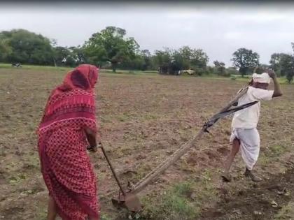 Latur Maharashtra Farmer Couple Plow Field Themselves Who responsible farmers tragedy see watch video No Money Oxen Tractor blog Vishwanath Sachdev | Latur Maharashtra Farmer Couple: किसानों की त्रासदी का जिम्मेदार कौन?, खुद बैल बन गए!