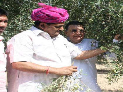 Israel to learn from rajasthan how to make olive tea | राजस्थान से इजराइल सीखेगा जैतून चाय बनाने की तकनीक, PM बेंजामिन हुए स्वाद के मुरीद Israel to learn from rajasthan how to make olive tea | राजस्थान से इजराइल सीखेगा जैतून चाय बनाने की तकनीक, PM बेंजामिन हुए स्वाद के मुरीद