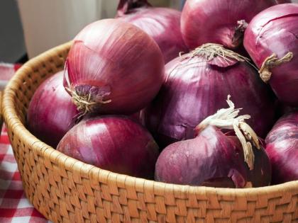 Steep hike in prices of onions across the country, will get relief in another 20-25 days | देश भर में प्याज की कीमतों में लगी आग, 90 रुपये किलो पहुंचे दाम, राहत के लिए इतने दिन करना होगा इंतजार Steep hike in prices of onions across the country, will get relief in another 20-25 days | देश भर में प्याज की कीमतों में लगी आग, 90 रुपये किलो पहुंचे दाम, राहत के लिए इतने दिन करना होगा इंतजार
