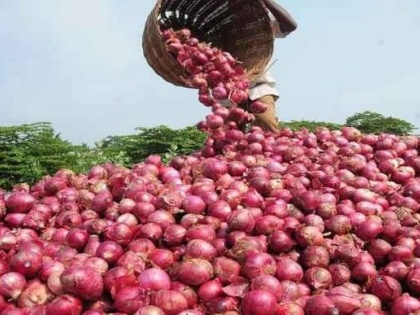 Maharashtra center stock limit25 to 1500 ton onion traders prices fall due new arrival potato  | महाराष्ट्र ने केंद्र से कहा- प्याज व्यापारियों के लिए 25 नहीं 1500 टन हो स्टॉक लिमिट, अगले 15 दिनों में आलू की नई आवक से गिरेंगे दाम