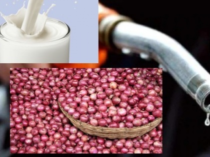 flash back 2019 onion, milk and petrol price hike this year | Flash Back 2019: इस साल लोगों पर पड़ी महंगाई की मार, पेट्रोल व प्याज के बाद अब दूध का भी बढ़ा दाम