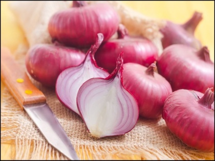 why onion and garlic avoid in worship what is tamasic food samudra manthan story about onion and garlic | किसी भी पूजा में क्यों नहीं इस्तेमाल होता प्याज-लहसुन, जानिए समुद्र मंथन से जुड़ी रोचक कहानी