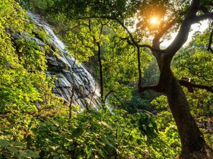 Shivaji of Narmadanchal immortal saga Raja Bhabhut Singh when cry freedom echoed valleys of Satpura | नर्मदांचल के शिवाजी: राजा भभूत सिंह की अमर गाथा, जब सतपुड़ा की वादियों में गूंजी आजादी की हुंकार Shivaji of Narmadanchal immortal saga Raja Bhabhut Singh when cry freedom echoed valleys of Satpura | नर्मदांचल के शिवाजी: राजा भभूत सिंह की अमर गाथा, जब सतपुड़ा की वादियों में गूंजी आजादी की हुंकार