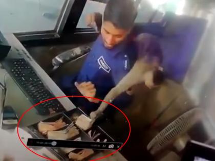 Monkey barges into toll booth, steals money and escapes Watch viral video | वीडियो: कार से चलता है शातिर बंदर, टोल बूथ से पैसे चुराकर हुआ फरार