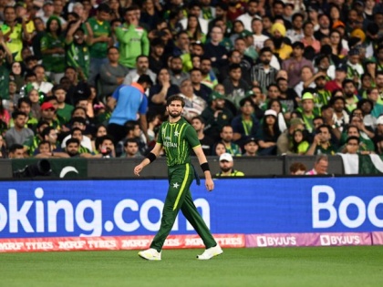 Pakistan fast bowler Shaheen Shah Afridi will be rehabilitation for two weeks Knee injury during T20 World Cup final | टी20 विश्व कप फाइनल के दौरान घुटने में चोट, दो हफ्ते के रिहैबिलिटेशन में रहेंगे शाहीन शाह अफरीदी