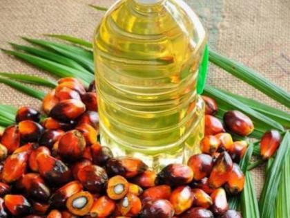Jammu Kashmir stand traders shun palm oil from Malaysia over Mahathir Mohamad criticism article 370 | कश्मीर मसले पर मलेशिया के PM महातिर को भारतीय ट्रेडर्स का जवाब, रोक दिया पॉम ऑयल का आयात