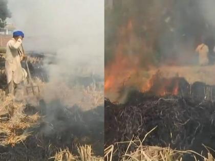 armers continue to burn stubble in Punjab; visuals from Amritsar | पंजाब, हरियाणा में पराली जलाने से दिल्ली की हवा पर पड़ा बुरा असर, सांस लेने में मुश्किल armers continue to burn stubble in Punjab; visuals from Amritsar | पंजाब, हरियाणा में पराली जलाने से दिल्ली की हवा पर पड़ा बुरा असर, सांस लेने में मुश्किल