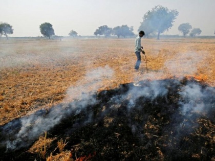29 farmers fined for stubble burning in Shamli Uttar Pradesh | सुप्रीम कोर्ट के निर्देश के बाद प्रशासन हुआ शख्त, UP के शामली में पराली जलाने को लेकर 29 किसानों पर ठोका जुर्माना