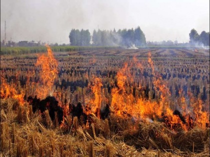 FIR on 166 farmers for burning stubble in Uttar Pradesh, fined on 185 farmers says Agriculture Minister | 'UP में पराली जलाने को लेकर 166 किसानों पर FIR दर्ज, 185 पर ठोका गया जुर्माना'