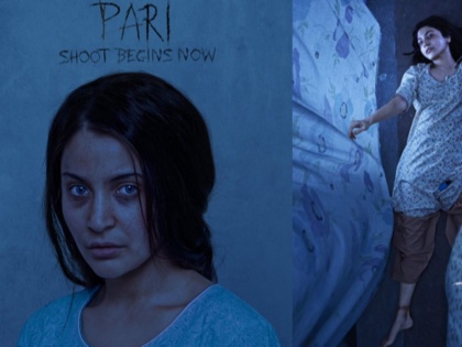 My wife's best work in 'Pari': Virat Kohli | 'परी' में मेरी पत्नी का अब तक का सबसे अच्छा काम : विराट कोहली