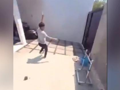 parrot flies away with mobile phone what happened next see in this viral video | लड़के का मोबाइल छीनकर तोते ने बनाया शानदार वीडियो, लोगों ने कहा- जब ऐसा तोता हो तो ड्रोन की क्या जरूरत, वीडियो वायरल