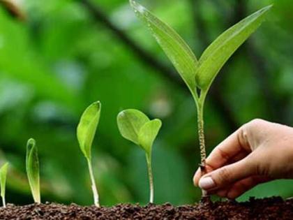 Nishtha's blog: Industries are becoming conscious about the environment | निशान्त का ब्लॉग: पर्यावरण को लेकर सचेत होने लगे हैं उद्योग
