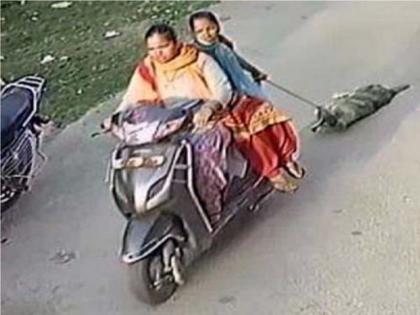 punjab two women tie dog to scooter drag it through streets of patiala brutality caught on cam | पंजाब : दो महिलाएं कुत्ते को स्कूटी से घसीटकर ले जाती आई नजर, पुलिस ने की कार्रवाई, गिरफ्तार punjab two women tie dog to scooter drag it through streets of patiala brutality caught on cam | पंजाब : दो महिलाएं कुत्ते को स्कूटी से घसीटकर ले जाती आई नजर, पुलिस ने की कार्रवाई, गिरफ्तार