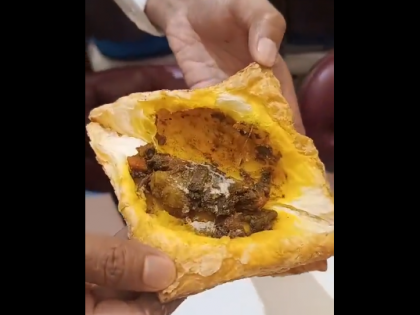 Deadly Fungus Found Inside Patties At Famous Bakery In Varanasi VIDEO Viral | Viral Video: पैटीज खाने वाले हो जाएं सावधान! कहीं आपके ऑर्डर में तो नहीं लगी है फंगस, इस शख्स की तरह कर लें चेक