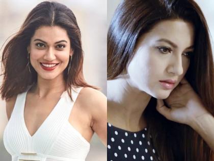 payal rohatg twitter war with gauahar khan article 370 | धारा 370 पर पायल रोहतगी पर भड़कीं गौहर खान तो एक्ट्रेस ने कहा-हिजाब में वर्कआउट करती हो क्या?