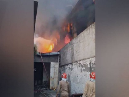Delhi A massive fire broke out in a shoe factory in Peeragadhi area 33 fire tenders arrived | दिल्ली: पीरागढ़ी इलाके में जूता फैक्ट्री में भीषण आग से मची अफरा-तफरी, दमकल की 33 गाड़ियां पहुंची