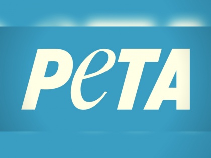 Peta request to stop illegal slaughtering of animals through latter to 7 state | बकरीद के पहले PETA ने 7 राज्यों को लिखा पत्र, पशुओं की अवैध कुर्बानी रोकने की मांग