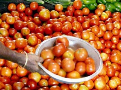 Mother Dairy will sell tomatoes at a price of 40 rupees per kg | दिल्ली में मदर डेयरी 40 रुपये किलो के भाव पर बेचेगी टमाटर, दाम पर लगेगा लगाम