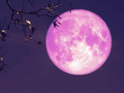 Pink Moon 2025 Why is the full moon of April called Pink Moon Know everything about it | Pink Moon 2025: अप्रैल के पूर्णिमा को क्यों कहा जाता है 'पिंक मून'? जानें इसके बारे में सबकुछ Pink Moon 2025 Why is the full moon of April called Pink Moon Know everything about it | Pink Moon 2025: अप्रैल के पूर्णिमा को क्यों कहा जाता है 'पिंक मून'? जानें इसके बारे में सबकुछ