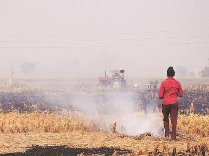 More than 29,000 farmers who did not burn straw in Punjab got compensation | पंजाब में पराली नहीं जलाने वाले 29,000 से अधिक किसानों को मिला मुआवजा