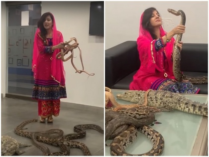 Pakistan Pop Singer Rabi Pirzada threatens to India Narendra Modi with Snakes on Kashmir, Netizens React | कश्मीर को लेकर पाकिस्तानी सिंगर की धमकी वाला VIDEO वायरल, लोग दे रहे ऐसे-ऐसे जवाब