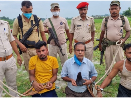 Assam: Nagaon Police arrested three people and seized a rhino horn from their possession. Case registered. | असम: ब्लैक मार्केट में 40 लाख रुपये किलो तक बिकती है गैंडे की सींग, तस्करी करने वाले गिरोह को पुलिस ने दबोचा
