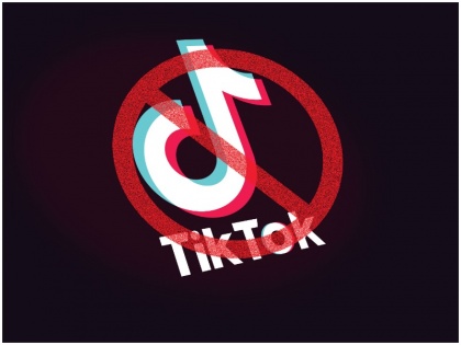 Tough road for TikTok clones | 'देशी टिकटॉक' का रास्ता है कठिन, इसलिए फेल हो सकते हैं भारतीय ऐप