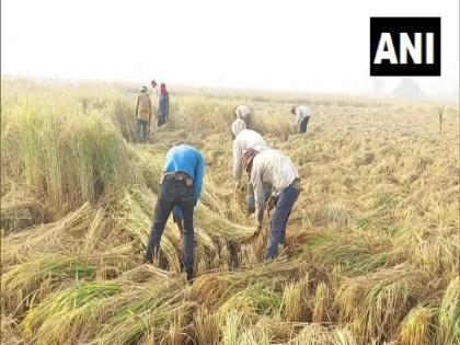 PM Kisan Samman Nidhi Yojana 2023 14th installment will released today by pm modi in rajasthan sikar | PM Kisan Samman Nidhi Yojana: प्रधानमंत्री द्वारा आज जारी होगा पीएम किसान सम्मान निधि का 14वां किस्त, खातें में आएंगे 17 हजार करोड़ रुपए