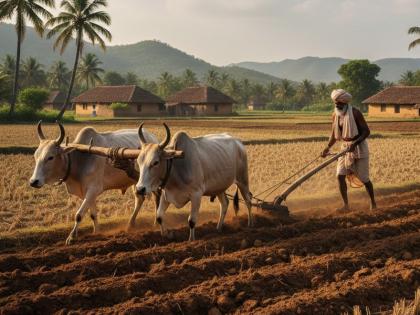 PM Kisan Yojana 22nd Installment Date: इस तारीख तक आ सकती है 22वीं किस्त, जल्दी से पूरा कर लें ईकेवाईसी; जानें प्रोसेस
