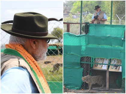 PM Modi left the cheetahs in the special enclosure of Kuno National Park sight was captured by the camera himself | पीएम मोदी ने कुनो राष्ट्रीय उद्यान के विशेष बाड़े में चीतों को छोड़ा, खुद से कैमरे में कैद किया नजारा
