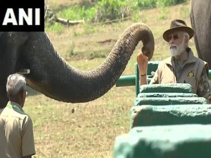 PM Modi visits Karnataka Bandipur Tiger Reserve caresses elephants by feeding them sugarcane video | वीडियो: पीएम मोदी ने कर्नाटक के बांदीपुर टाइगर रिजर्व का किया दौरा, हाथियों को गन्ना खिलाकर किया दुलार PM Modi visits Karnataka Bandipur Tiger Reserve caresses elephants by feeding them sugarcane video | वीडियो: पीएम मोदी ने कर्नाटक के बांदीपुर टाइगर रिजर्व का किया दौरा, हाथियों को गन्ना खिलाकर किया दुलार