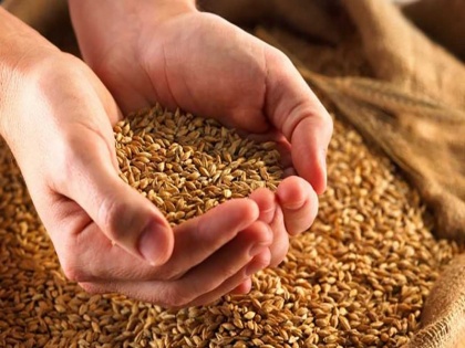 Blog: Gift of free grains to the common man | ब्लॉग: आम आदमी को मुफ्त अनाज की सौगात