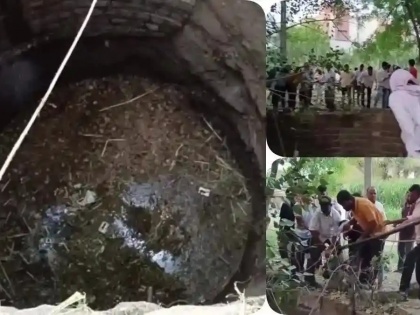 Ahmednagar News Five people died in bid to save cat fell abandoned well used as a biogas pit Wadki village Maharashtra see video | Ahmednagar Shocker: बिल्ली को बचाने उतरे 6 लोग, कुएं में दम घुटने से 5 की मौत, राहत कार्य तेज, देखें वीडियो