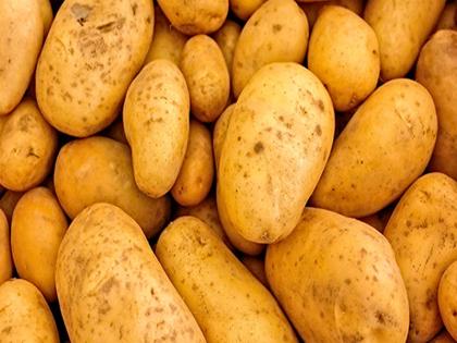 December 2024 Vegetarian thali was Rs 31-6 per plate, in 2023 was Rs 29-7 per plate Tomato and potato spoiled the budget | December 2024: शाकाहारी थाली 31.6 रुपये प्रति प्लेट, 2023 में  29.7 रुपये प्लेट थी?, टमाटर और आलू ने बजट बिगाड़ा