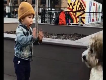 viral video show the reactions of kid who saw dog for the first time wins internet heart | Viral Video: पहली बार कुत्ते को देख बच्चे ने कुछ ऐसा दिया रिएक्शन, लोग ले रहे हैं खूब मजे