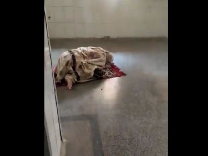 UP: Video of Namaz in Prayagraj hospital goes viral, police said, 'It is not a crime' | Video: प्रयागराज के सरकारी अस्पताल में नमाज अदायगी का वीडियो हुआ वायरल, पुलिस ने कहा, 'यह कोई अपराध नहीं है'