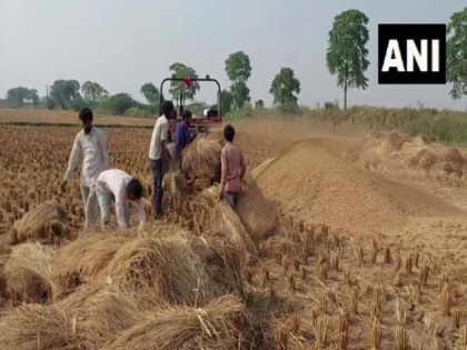 Prime Minister Modi will release PM-Kisan Yojana 2023 13th installment today more than 8 crore farmers benefited | पीएम-किसान योजना 2023: प्रधानमंत्री मोदी द्वारा आज जारी की जाएगी 13वीं किस्त, 8 करोड़ से अधिक किसानों को मिलेगा लाभ