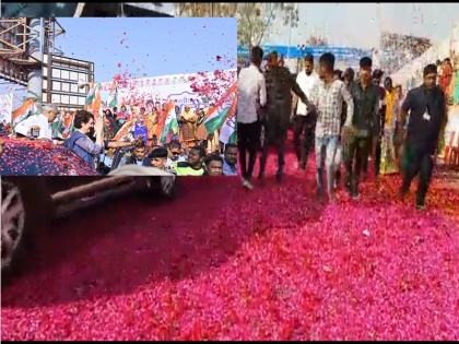 Priyanka Gandhi welcomed in raipur by rose petals were laid on the two kilometer road | वीडियोः रायपुर में प्रियंका गांधी का शाही अंदाज में हुआ स्वागत, 2 किमी सड़क पर बिछाई गई गुलाब की पंखुड़ियां, सड़क किनारे कलाकारों ने दी प्रस्तुति