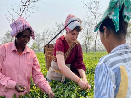 Assam election 2021 Priyanka Gandhi plucks tea leaves with workers at tea | प्रियंका गांधी ने असम में चाय मजदूरों से की मुलाकात, माथे पर टोकरी लगाकर तोड़ीं पत्तियां
