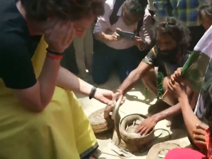 Priyanka Gandhi Vadra meets snake charmers in Raebareli Uttar Pradesh holds snakes in hands viral video | वीडियो: सपेरों की बस्ती में पहुंची प्रियंका गांधी, सांपों से खेलती आईं नजर