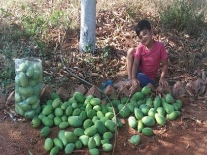 prakash raj said about his son the mango seller in conversation with nature | अपने फार्म पर आम बेचता नजर आया बॉलावुड एक्टर का बेटा, प्रकाश राज ने तस्वीर शेयर कर कही ये बात