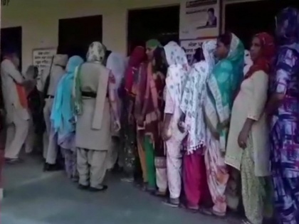 Punjab zila parishads-panchayat samitis voting updates | पंजाबः 22 जिला परिषद-150 पंचायत समितियों के लिए मतदान जारी, विपक्ष ने कहा-जीत पक्की
