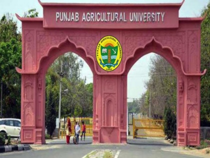 Punjab Agricultural University released CET result, check here | पंजाब एग्रीकल्चरल यूनिवर्सिटी ने जारी किया CET का रिजल्ट, यहां करें चेक