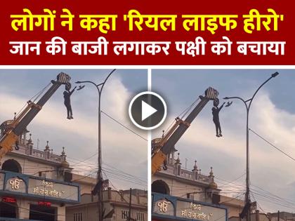Punjab Bird Rescue Man Risk his life to rescue trapped bird | VIDEO: जान की बाजी लगाकर पक्षी को बचाया, लोगों ने कहा 'रियल लाइफ हीरो', देखें वीडियो Punjab Bird Rescue Man Risk his life to rescue trapped bird | VIDEO: जान की बाजी लगाकर पक्षी को बचाया, लोगों ने कहा 'रियल लाइफ हीरो', देखें वीडियो